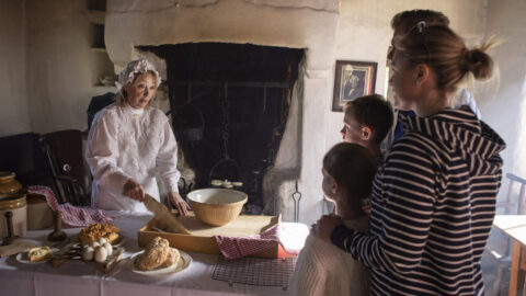 Photographer: Donal Moloney