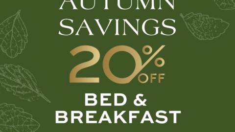 Enjoy 20% off bed & breakfast with our autumn savings offer, set against a cosy green leafy background.