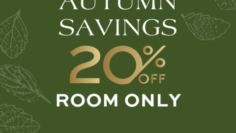 Enjoy 20% off rooms this autumn with our seasonal hotel promotion on a cosy green background with leaf accents.